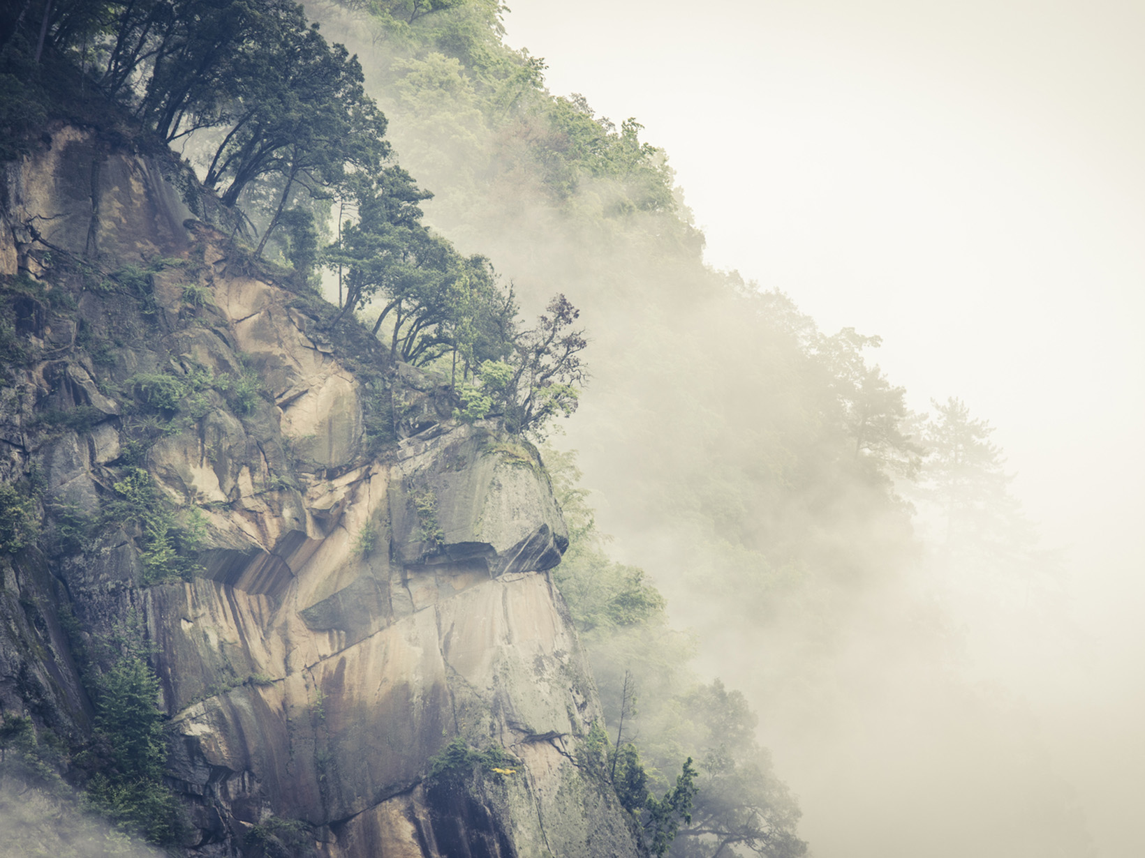 Misty mountain ridge in Laohegou Nature Reserve in China.